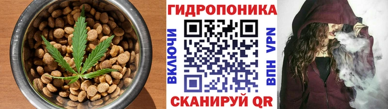 Купить закладки  Починок  Печенье с ТГК марихуана 