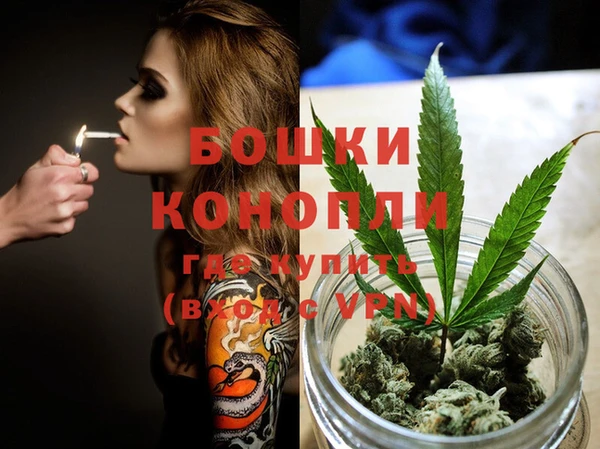 гидра Верея