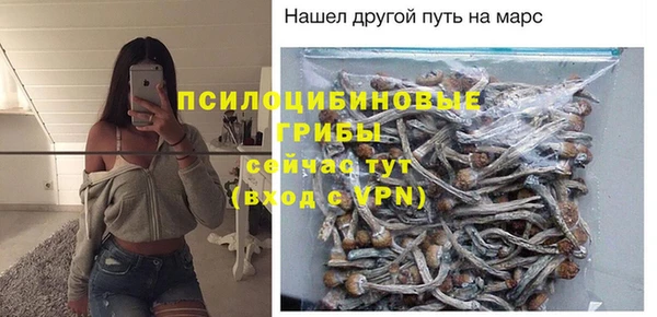 MDMA Premium VHQ Верхний Тагил