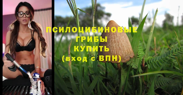 гидра Верея
